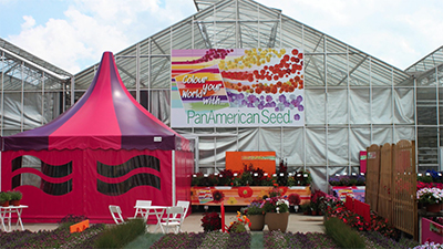 Photo shows the entrance of FlowerTrials with a festive pink and purple tent in front of our greenhouses.