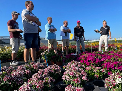 Several people stand in a black-cloth field trial of perennials in containers.