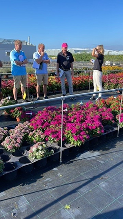 Product managers discuss a row of dianthus on trial.