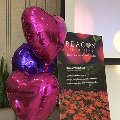 Balloons and signage to celebrate Beacon Impatiens