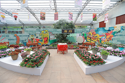 Colorful indoor flower display 