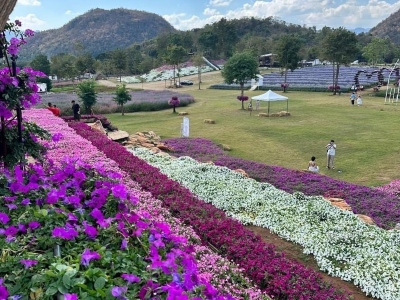 Tiered outdoor garden with bright pink, white and purple flowers with mountains in the background.