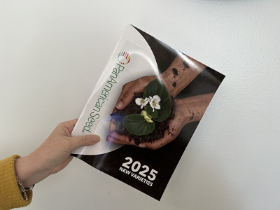 A hand holding up a flower catalog
