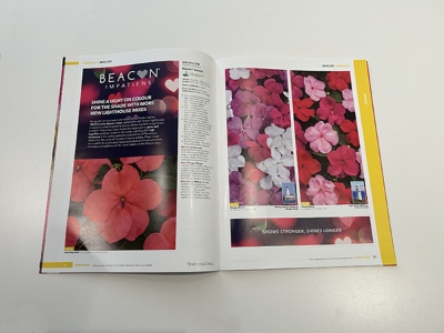 Catalog opened to pictures of impatiens