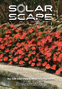Brochure cover with bright red impatiens in the landscape