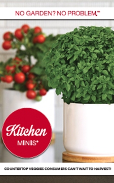 Cover of brochure with bright green basil in the foreground and a cherry tomato plant in the background