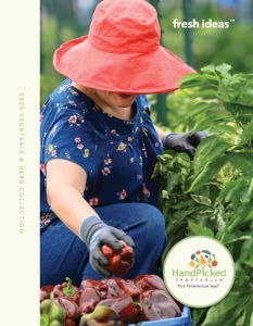 A woman in a red hat picking vegetables from an outdoor garden