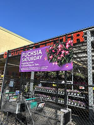 Outdoor garden display outside a Fred Meyer store