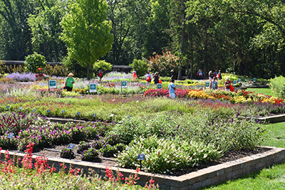 Visitors in a perennial outdoor garden