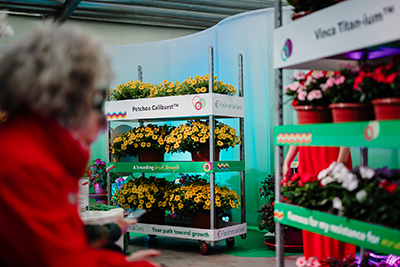 Flower cart full of potted plants