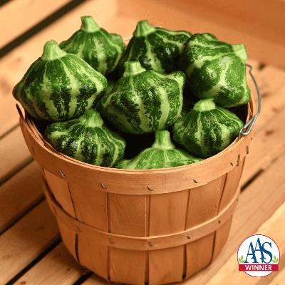 Basket of small, green scallop-shaped squash
