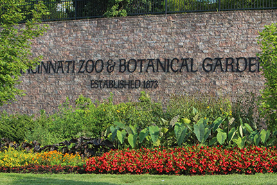 Flowers in the landscape in front of a brick wall with a sign