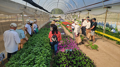 Group inside of a greenhouse full of colorful plants