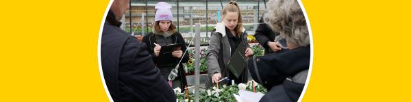 Pansy & Viola Trials - 2025