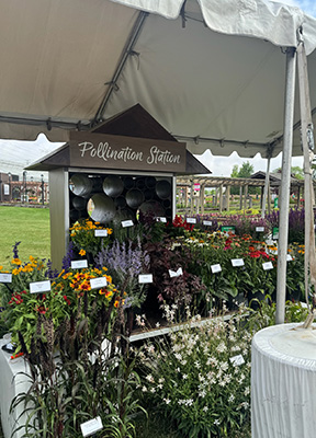 Tent filled with pollinator plants