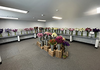 Room with vases of cut flower displays
