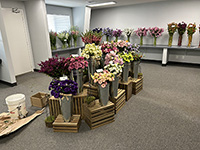 Room with vases of cut flower displays
