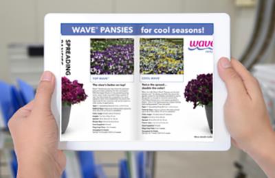 Hands holding a tablet featuring the Pansy and Viola brochure from PanAmerican Seed.