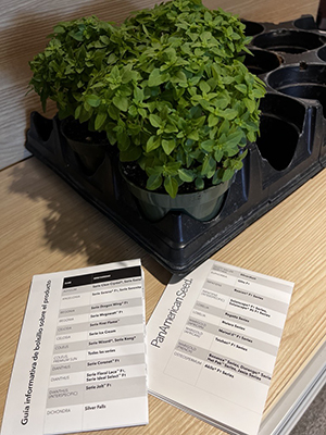 Two Pocket guides in front of a basil plant