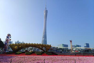 Beacon Impatiens at Guangzhou Haixinsha Asian Games Theme Park