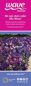 Cart banner featuring Wave Pansies