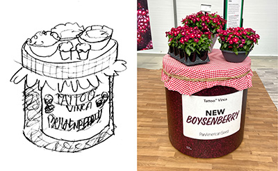 Sketch image and Vinca Tatoo Boysenberry display from CAST26