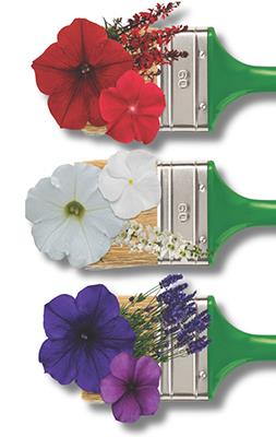 Flower blooms in red, white and blue on paintbrushes