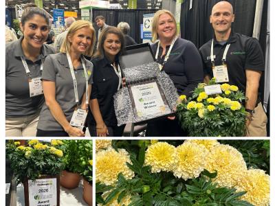 Collage of PanAmerican Seed team at Cultivate'26 receiving the Retailers' Choice Award for Lanna Lace Marigold