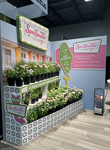 Sedum Spectacular tradeshow display from PanAmerican Seed 