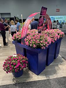 Beacon Impatiens tradeshow display from PanAmerican Seed