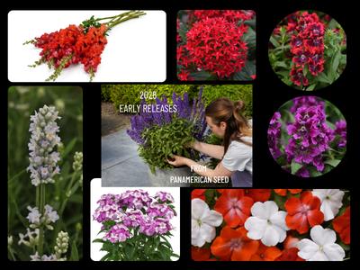 Collage of new plant varieties for 2028