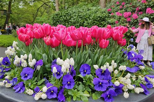 Keukenhof 2025