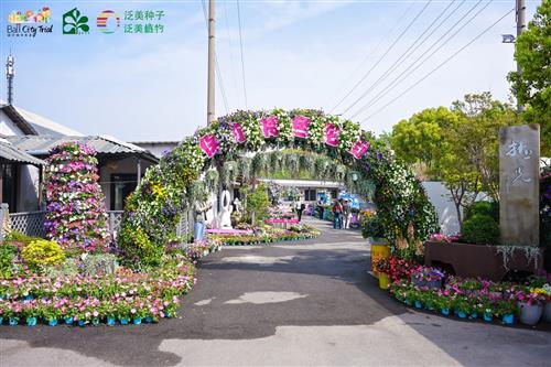 A flower-filled street at China Pack Trials event.