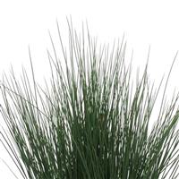 ColorGrass® Juncus Blue Dart Bloom