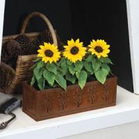 Sunflower Ballad Displays