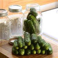 Cucumber GherKing Container