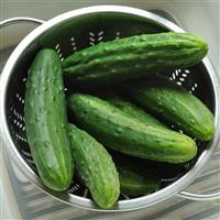 Cucumber Patio Snacker Basket