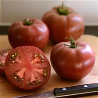 Tomato Heirloom Marriage™ Cherokee Carbon Basket
