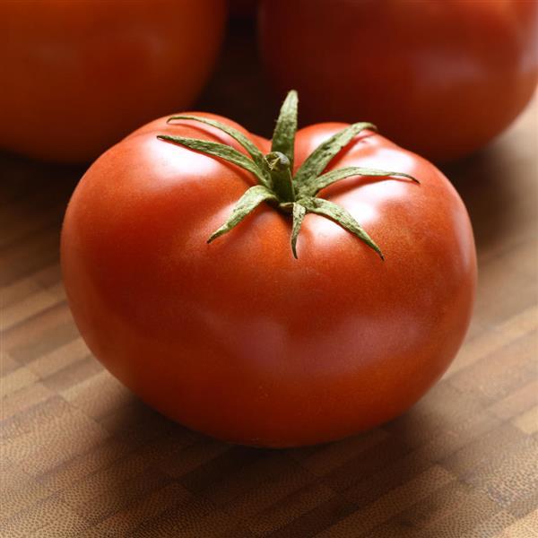 Tomato Loki Bloom