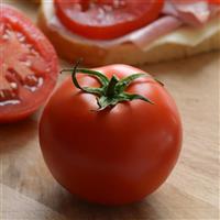 Tomato Stellar Container