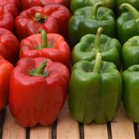 Pepper KickStart™ Bloom