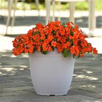 Beacon<sup>®</sup> Orange Container