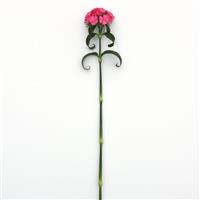 Sweet™ Deep Pink Maxine Single Stem, White Background