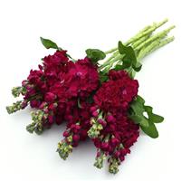 Opera Francesca Grower Bunch