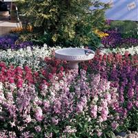 Vintage Mixture Landscape