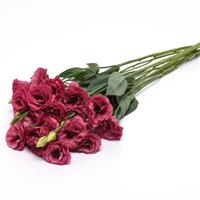 ABC™ 2 Rose Grower Bunch