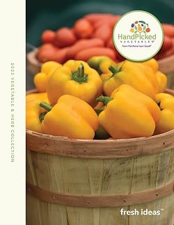 HandPicked vegetable brochure