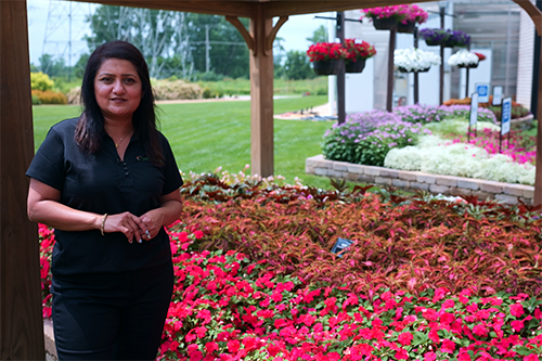 Saima Gardens