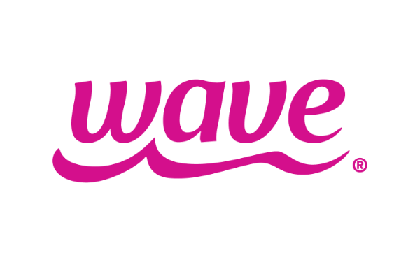 Wave logo example