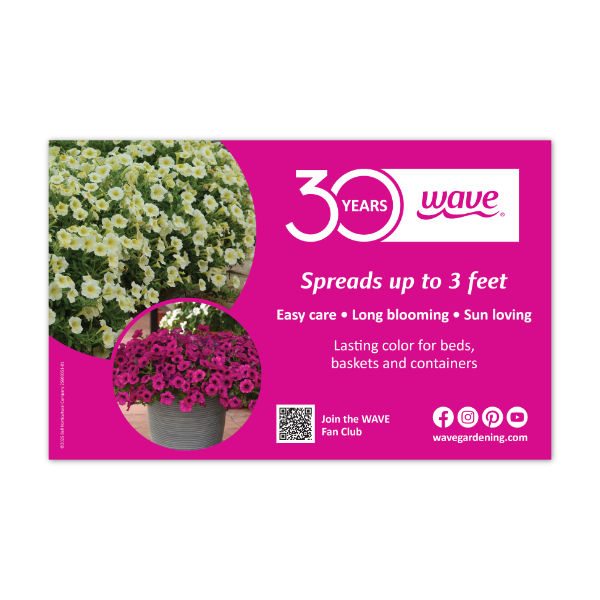 Image for Wave bench card